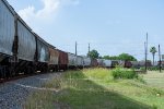 Grain Hoppers round the bend at Wharton 